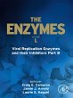 Viral Replication Enzymes and their... - Bild 1