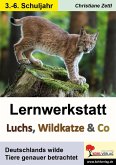 Lernwerkstatt Luchs, Wildkatze & Co (eBook, PDF)