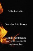 Das dunkle Feuer -Gottes zerstörende und liebende Kraft im Menschen (eBook, ePUB)