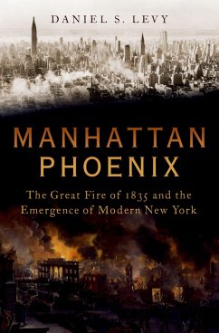 Manhattan Phoenix (eBook, PDF) - Levy, Daniel S