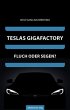 Teslas Gigafactory - Bild 1