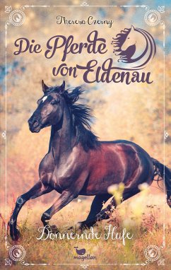 Donnernde Hufe / Die Pferde von Eldenau Bd.3 - Czerny, Theresa