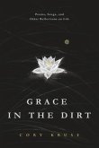 Grace in the Dirt (eBook, ePUB)