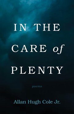 In the Care of Plenty (eBook, ePUB)