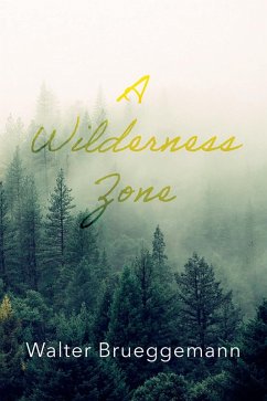 A Wilderness Zone (eBook, ePUB)