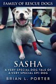 Sasha (eBook, ePUB)