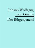 Der Bürgergeneral (eBook, ePUB)