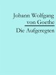 Die Aufgeregten (eBook, ePUB) - Bild 1