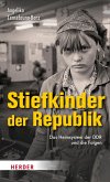 Stiefkinder der Republik (eBook, ePUB)
