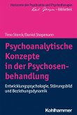 Psychoanalytische Konzepte in der Psychosenbehandlung (eBook, ePUB)