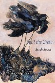 Split the Crow (eBook, ePUB)