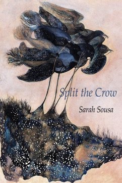Split the Crow (eBook, ePUB) - Sousa, Sarah