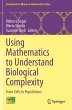 Using Mathematics to Understand... - Bild 1