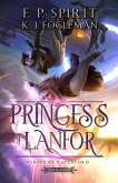 Princess of Lanfor (eBook, ePUB)