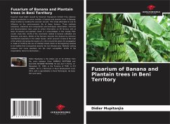 Fusarium of Banana and Plantain trees in Beni Territory - Mupitanjia, Didier