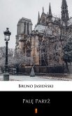 Palę Paryż (eBook, ePUB)