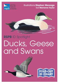 RSPB ID Spotlight - Ducks, Geese and Swans - Taylor, Marianne