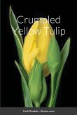 Crumpled Yellow Tulip