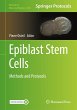 Epiblast Stem Cells - Bild 1