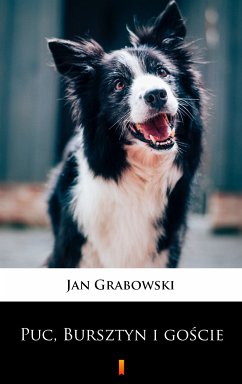 Puc, Bursztyn i goście (eBook, ePUB) - Grabowski, Jan