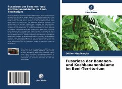 Fusariose der Bananen- und Kochbananenbäume im Beni-Territorium - Mupitanjia, Didier