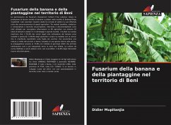 Fusarium della banana e della piantaggine nel territorio di Beni - Mupitanjia, Didier