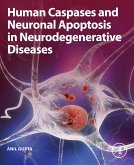 Human Caspases and Neuronal Apoptosis in Neurodegenerative Diseases (eBook, ePUB)