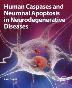 Cover Human Caspases and Neuronal Apoptosis in Neurodegenerative Diseases (eBook, ePUB)