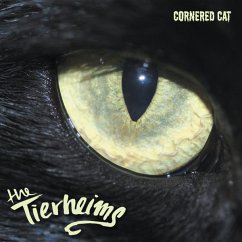 Cornered Cat - Tierheims,The