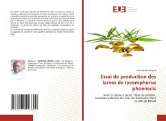 Essai de production des larves de rycomphorus phoenecis - Matiala Mayele, Félix
