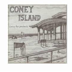 Coney Island During the Pandemic - Plotnick, Susanna