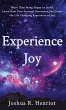 Experience Joy - Bild 1