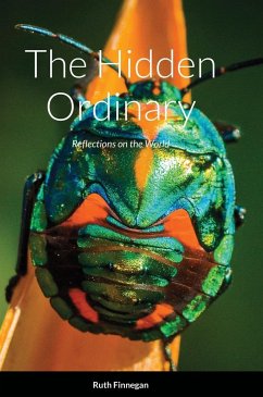 The hidden ordinary - Finnegan, Ruth