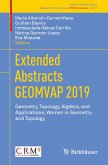 Extended Abstracts GEOMVAP 2019 (eBook, PDF)