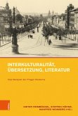 Interkulturalität, Übersetzung, Literatur (eBook, PDF)