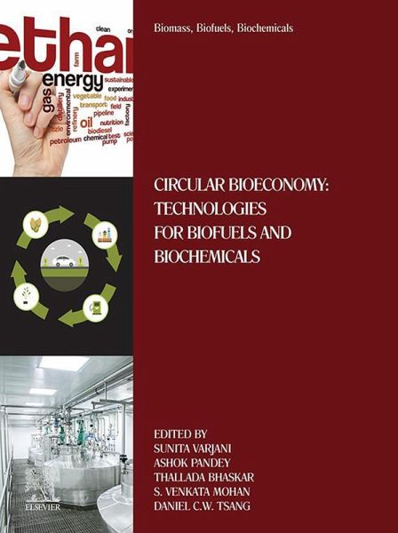 Biomass, Biofuels, Biochemicals (eBook, ePUB) Biomass, Biofuels, Biochemicals (eBook, ePUB)