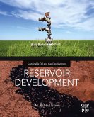 Reservoir Development (eBook, ePUB)