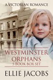 Westminster Orphans: A Victorian Romance (eBook, ePUB)