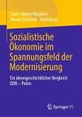 Sozialistische Ökonomie im Spannungsfeld der Modernisierung (eBook, PDF)