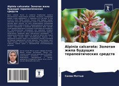 Alpinia calcarata: Zolotaq zhila buduschih terapewticheskih sredstw - Mätt'ü, Silwi
