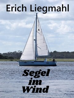 Segel im Wind (eBook, ePUB) - Liegmahl, Erich