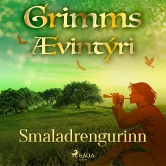 Smaladrengurinn (MP3-Download) - Grimmsbræður