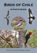 Birds of Chile (eBook, ePUB) - Bild 1