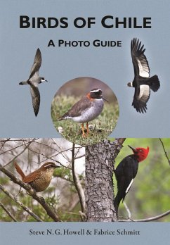 Cover Birds of Chile (eBook, ePUB)