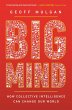 Big Mind (eBook, ePUB) - Bild 1