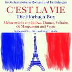 C'est la vie: Große französische Romane und Erzählungen (MP3-Download)