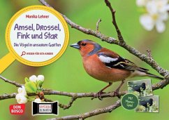 Amsel, Drossel, Fink und Star. Die Vögel in unserem Garten. Kamishibai Bildkarten und Memo-Spiel - Lehner, Monika