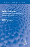 Public Enterprise (eBook, PDF)