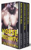 Norse Security (eBook, ePUB)