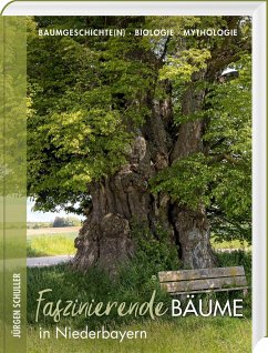 Faszinierende Bäume in Niederbayern - Schuller, Jürgen